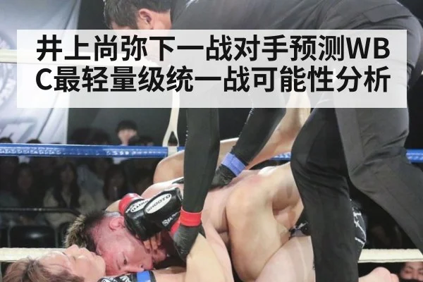 井上尚弥下一战对手预测WBC最轻量级统一战可能性分析